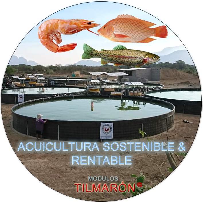 Acuicultura sostenible y rentable Módulos Tilmaron