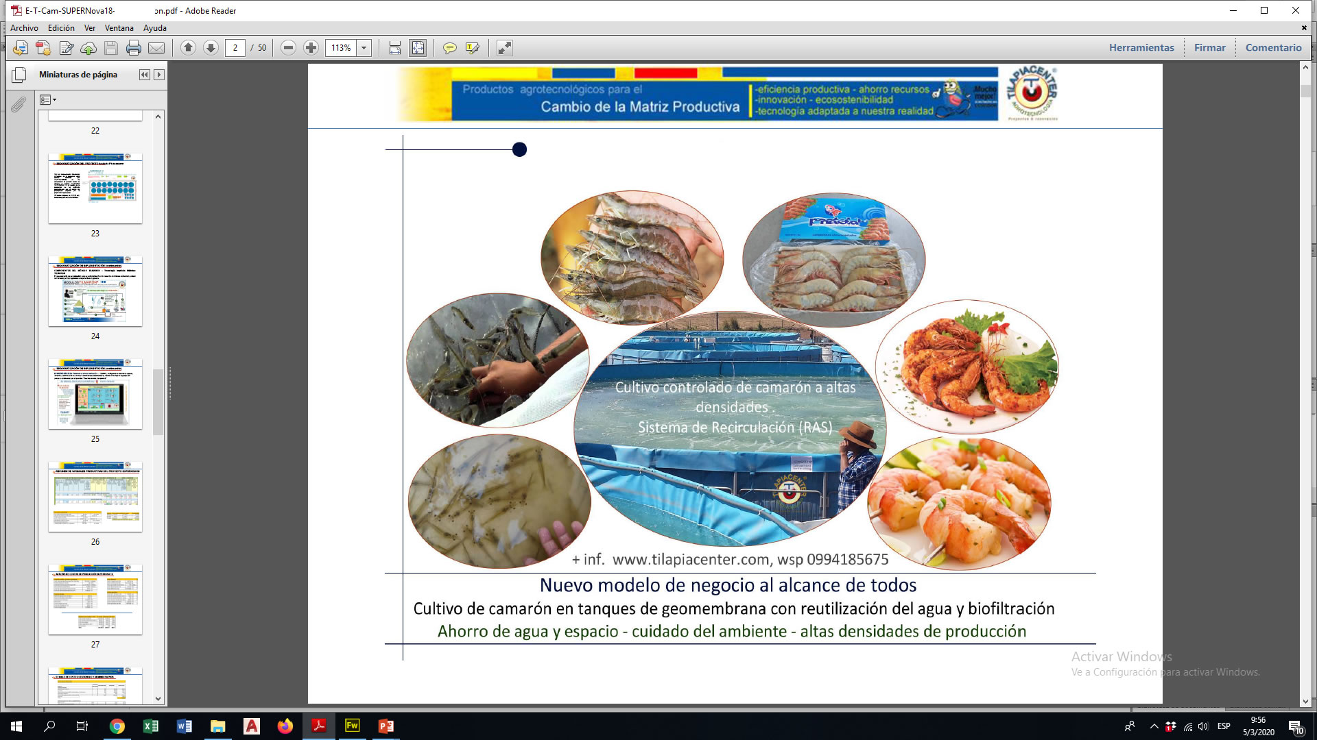 Plan de Negocio de Camarón y Tilapia Tilmaron para financiamiento