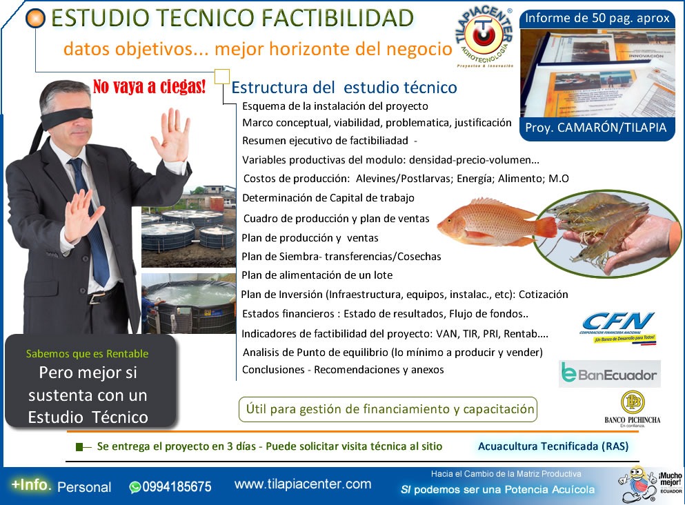 Temática Estudio Técnico Tilapiacenter