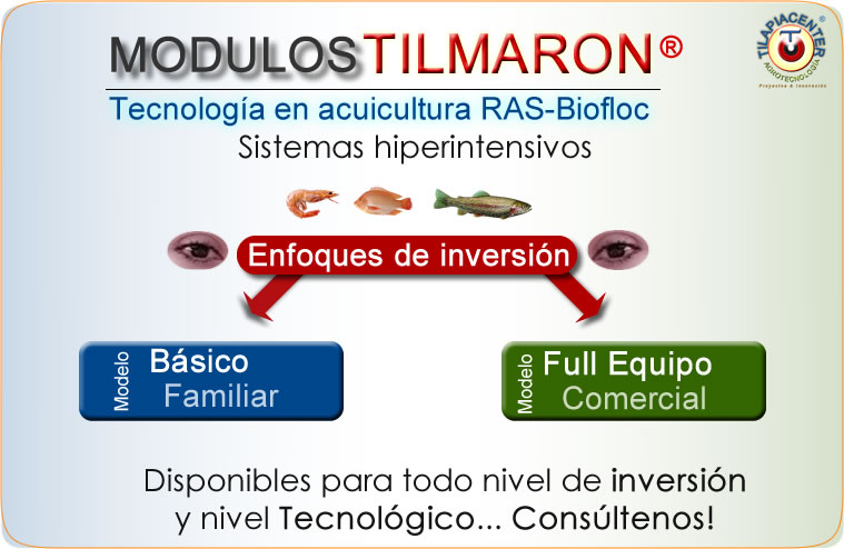 Costo de tanques geomembrana cultivo de camarón y tilapia