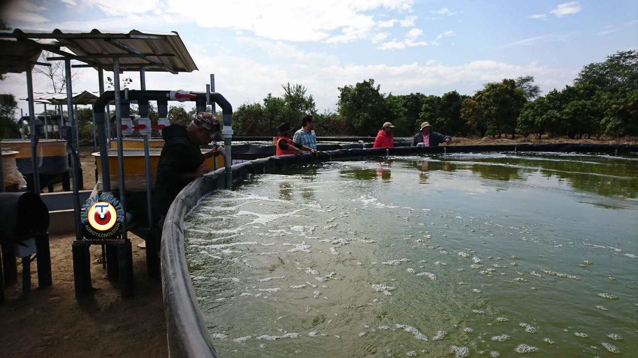 Componentes tecnológicos de sistema RAS cultivo camarón y tilapia