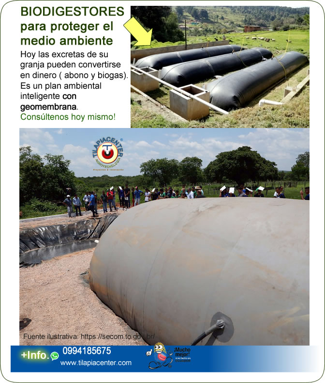 fabricamos biodigestos en geomembrana