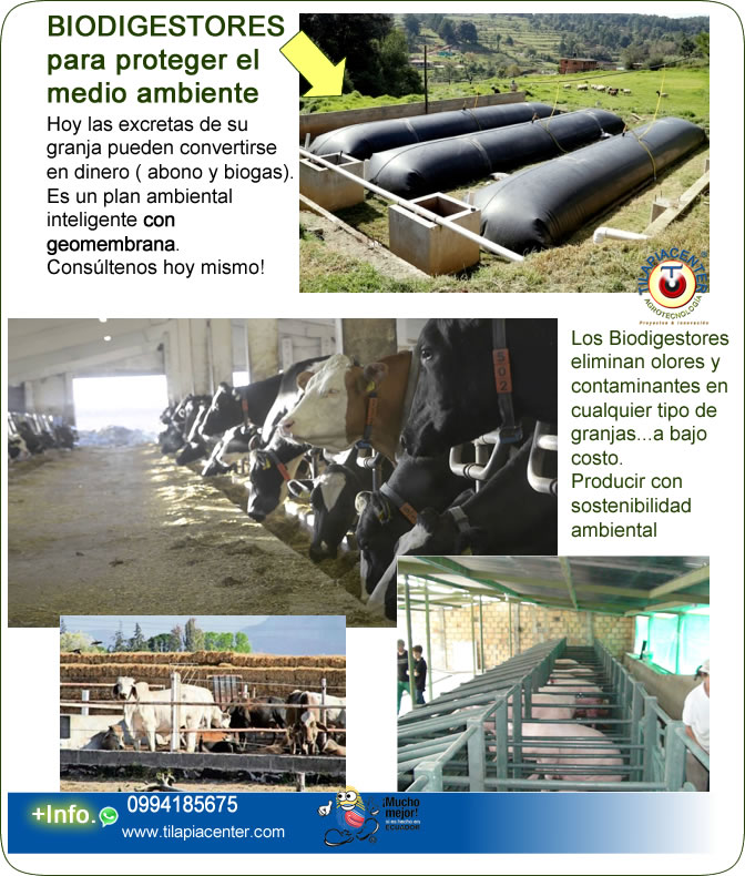 Fabricamos biodigestor en geomembrana para granjas