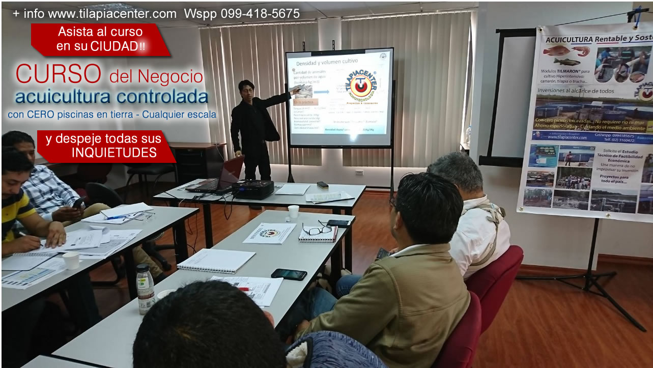 Curso de cultivo camarón y tilapia El negocio de acuicultura tecnificada