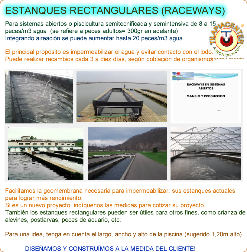 geomembrana o liner para tanques camaron y tilapia